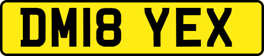 DM18YEX