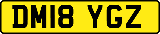 DM18YGZ