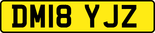 DM18YJZ