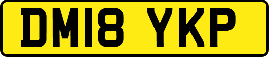 DM18YKP