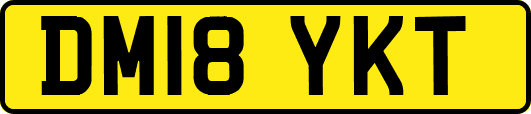 DM18YKT