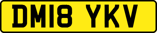 DM18YKV