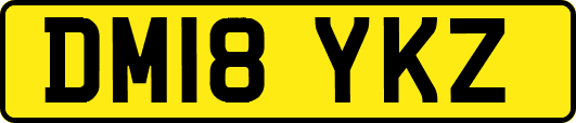 DM18YKZ