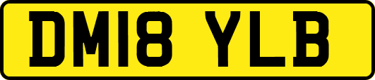DM18YLB