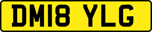 DM18YLG