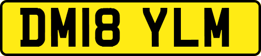DM18YLM