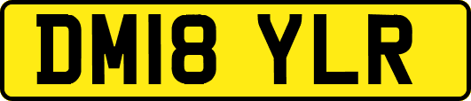 DM18YLR