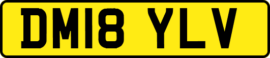 DM18YLV