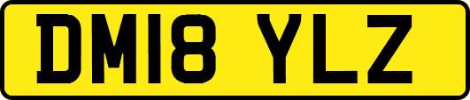 DM18YLZ