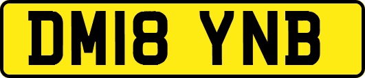 DM18YNB