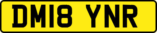 DM18YNR