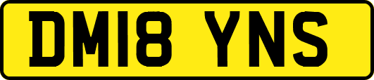DM18YNS