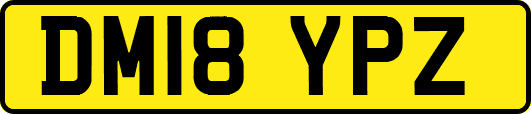 DM18YPZ