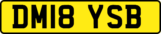 DM18YSB