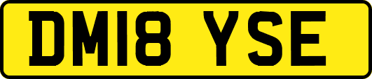 DM18YSE