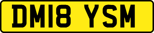 DM18YSM