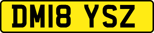 DM18YSZ