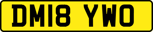 DM18YWO