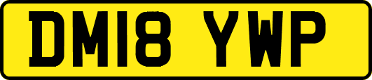 DM18YWP