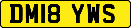 DM18YWS