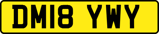 DM18YWY