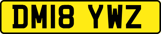DM18YWZ