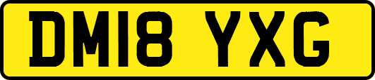 DM18YXG