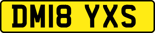 DM18YXS