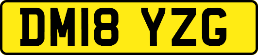 DM18YZG