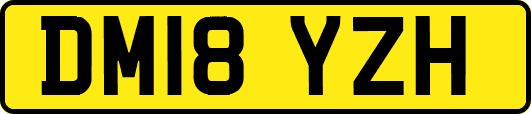 DM18YZH