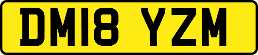 DM18YZM