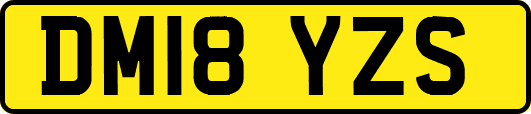 DM18YZS
