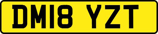 DM18YZT