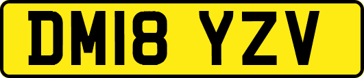 DM18YZV