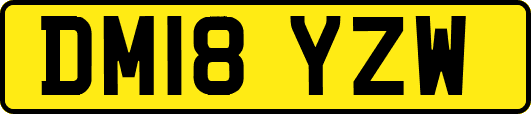 DM18YZW