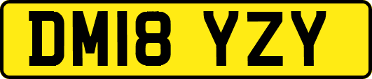 DM18YZY