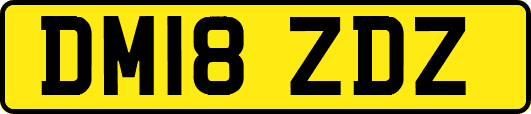 DM18ZDZ