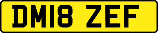 DM18ZEF
