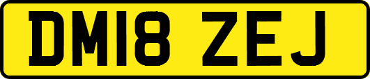 DM18ZEJ