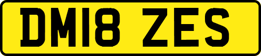 DM18ZES