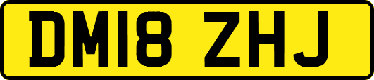 DM18ZHJ