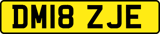 DM18ZJE