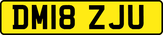 DM18ZJU