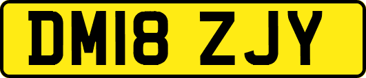 DM18ZJY