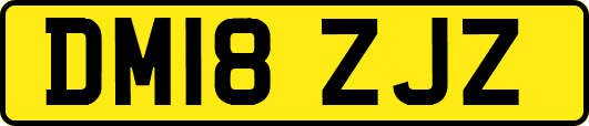DM18ZJZ