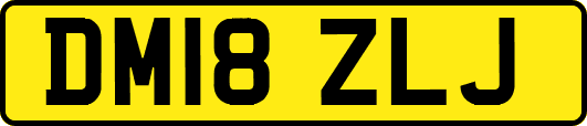 DM18ZLJ