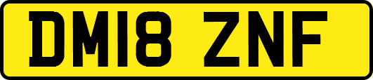 DM18ZNF