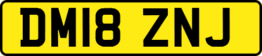 DM18ZNJ