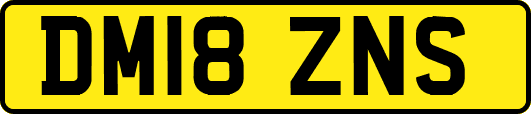 DM18ZNS