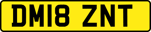 DM18ZNT